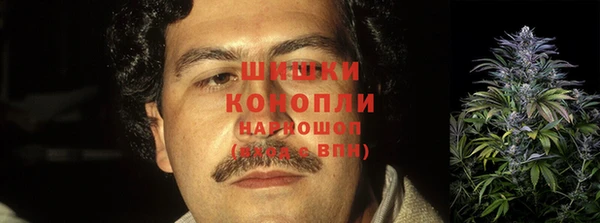 трава Аркадак