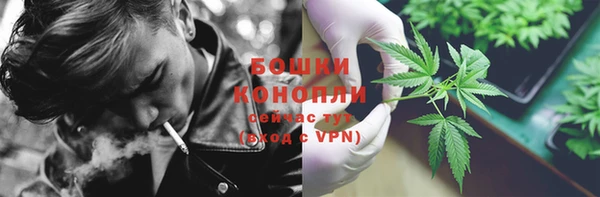 трава Аркадак
