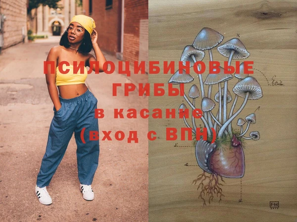 мескалин Арсеньев