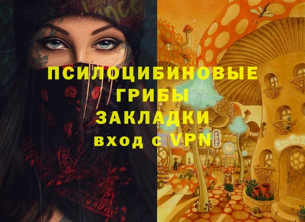 трава Аркадак