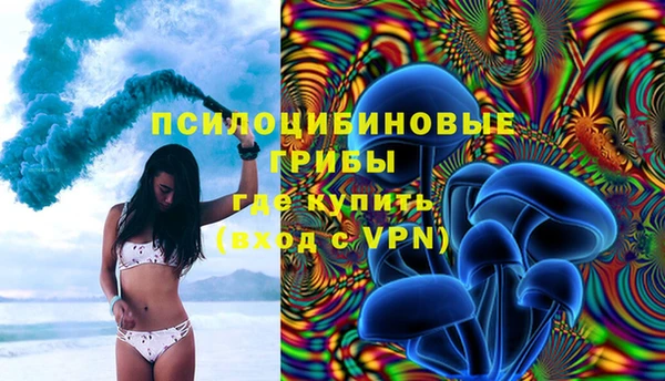 трава Аркадак