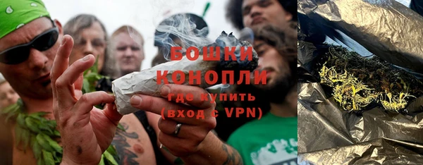 трава Аркадак